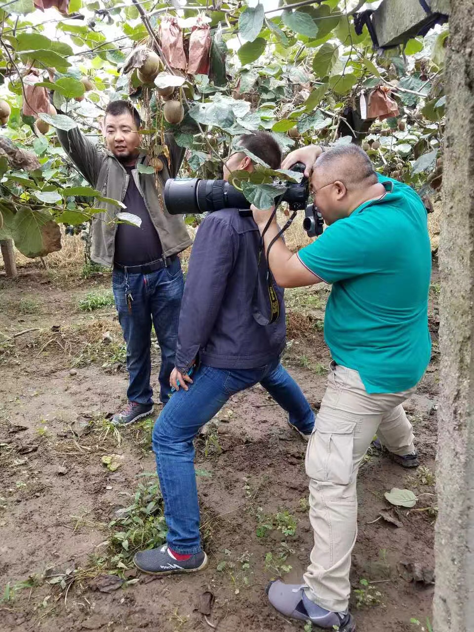 15.jpg